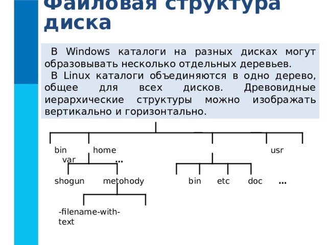 Файловая структура диска В Windows каталоги на разных дисках могут  образовывать несколько отдельных деревьев. В Linux каталоги объединяются в одно  дерево, общее для всех дисков. Древовидные иерархические структуры можно изображать вертикально и  горизонтально. bin home  usr var   …  shogun metohody bin etc doc …  -filename-with- text