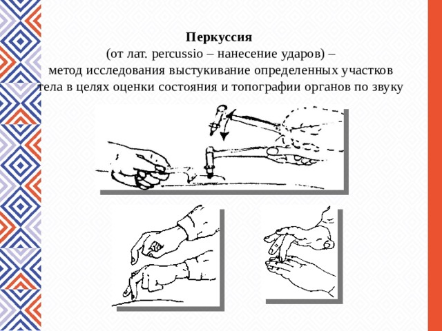 Схема исследования животных