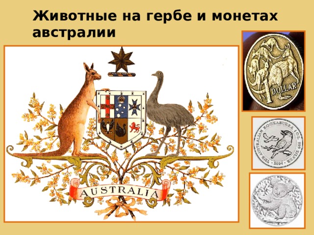 Животные на гербе и монетах австралии 