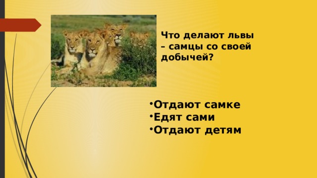 Что делают львы – самцы со своей добычей? Отдают самке Едят сами Отдают детям 