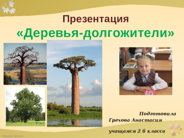 Презентация «Деревья-долгожители»       Подготовила Грехова Анастасия учащаяся 2 б класса МАОУ «СОШ№ 1» г. Топки  