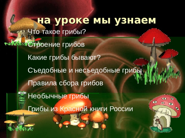  на уроке мы узнаем Что такое грибы? Строение грибов Какие грибы бывают? Съедобные и несъедобные грибы Правила сбора грибов Необычные грибы Грибы из Красной книги России    