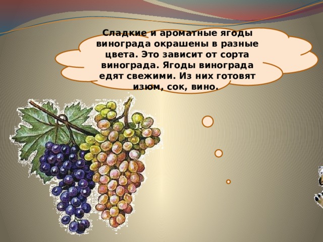 Презентация 1 класс откуда берутся шоколад изюм и мед 1 класс школа россии