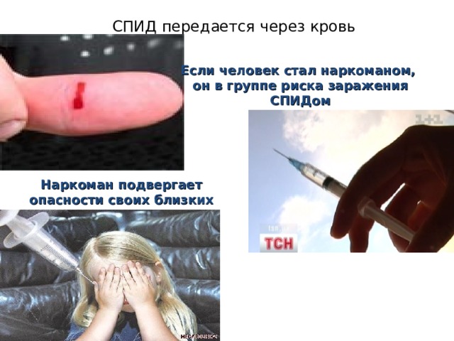акция красные тюльпаны надежды к всемирному дню борьбы со спидом. Смотреть фото акция красные тюльпаны надежды к всемирному дню борьбы со спидом. Смотреть картинку акция красные тюльпаны надежды к всемирному дню борьбы со спидом. Картинка про акция красные тюльпаны надежды к всемирному дню борьбы со спидом. Фото акция красные тюльпаны надежды к всемирному дню борьбы со спидом