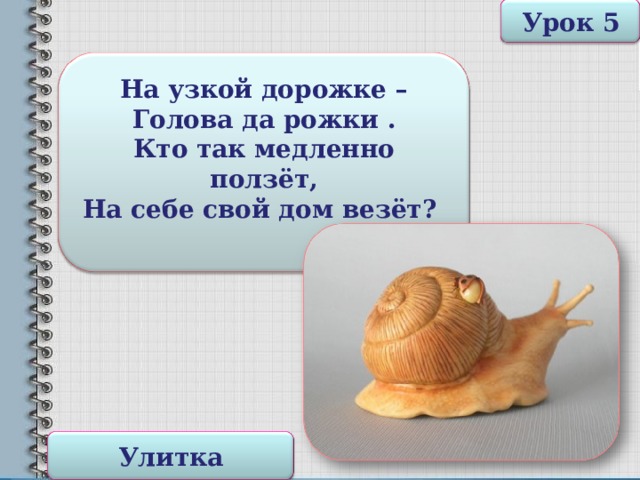 Урок 5 На узкой дорожке – Голова да  рожки . Кто так медленно ползёт, На себе свой дом везёт?  Улитка 