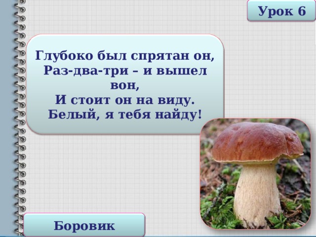 Урок 6 Глубоко был спрятан он, Раз-два-три – и вышел вон, И стоит он на виду. Белый, я тебя найду! Боровик 