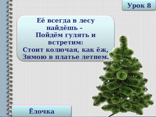 Урок 8 Её всегда в лесу найдёшь – Пойдём гулять и встретим: Стоит колючая, как ёж, Зимою в платье летнем. Ёлочка 