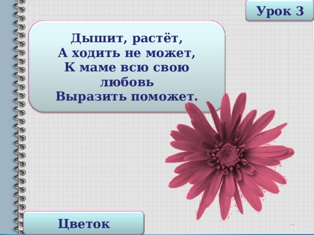 Урок 3 Дышит, растёт, А ходить не может,  К маме всю свою любовь Выразить поможет. Цветок 