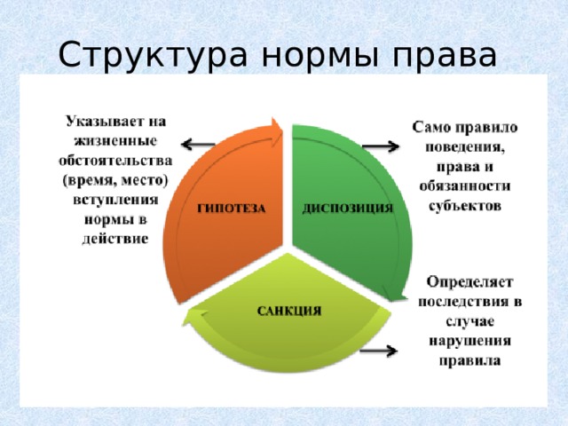 Структура нормы права схема