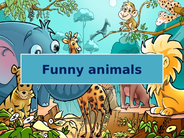 Funny animals 