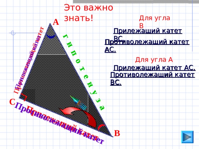 Прилежащий катет и противолежащий на рисунке