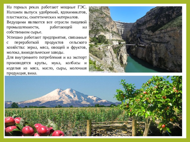 Продукты европейского юга. ГЭС европейского Юга России. Климат европейского Юга. Европейский Юг России основные выращиваемые культуры. Пищевая отрасль европ Юг.