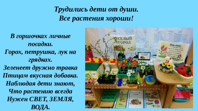 Исследовательский проект огород на окне