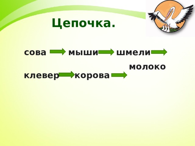 Презентация в бианки сова 2 класс школа россии презентация