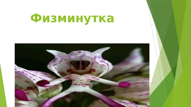  Физминутка 