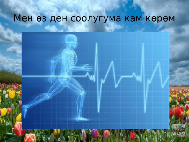 Мен өз ден соолугума кам көрөм 