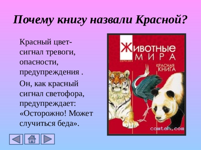 Проект почему запрещающие сигналы красного цвета Самое главное о Красной книге