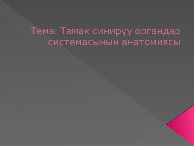 Тема: Тамак синирүү органдар системасынын анатомиясы 