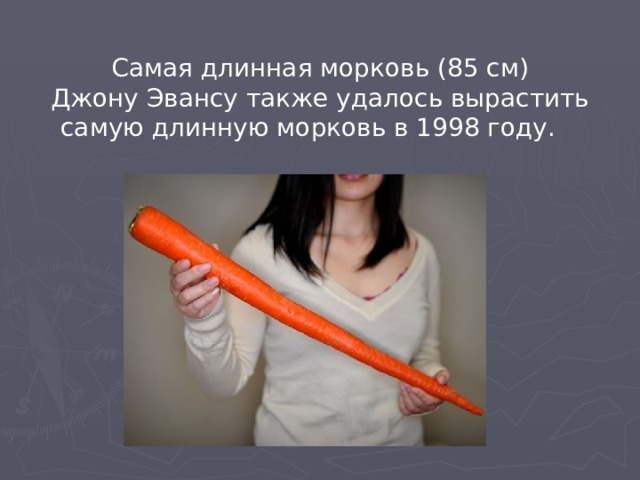  Самая длинная морковь (85 см) Джону Эвансу также удалось вырастить самую длинную морковь в 1998 году. 