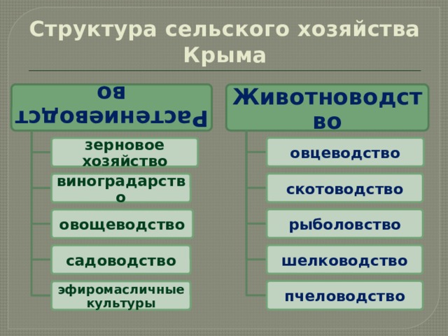 Структура растениеводства. Структура сельского хозяйства. Основные отрасли сельского хозяйства Крыма. Структура животноводства. Особенности сельского хозяйства Крыма.