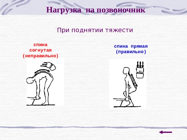 Нагрузка на позвоночник При поднятии тяжести спина согнутая (неправильно)  спина прямая (правильно)  