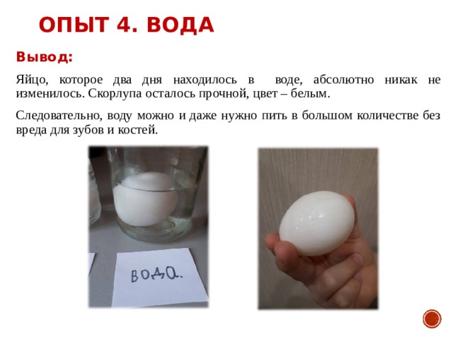 Вывод яйца игра. Опыт с яйцом. Опыт с яйцом и соленой водой вывод. Вывод яиц.