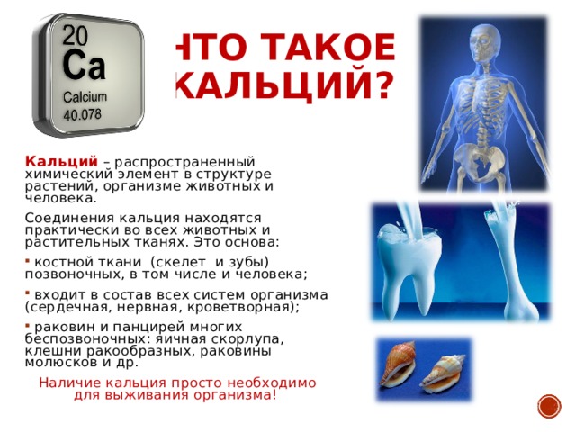 Кальций презентация по химии