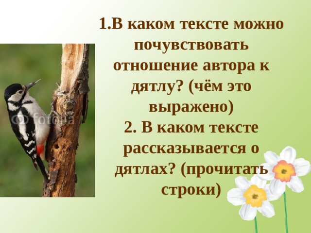  1.В каком тексте можно почувствовать отношение автора к дятлу? (чём это выражено)  2. В каком тексте рассказывается о дятлах? (прочитать строки) 