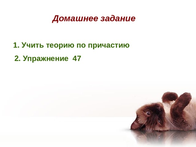 Домашнее задание 1. Учить теорию по причастию 2. Упражнение 47 