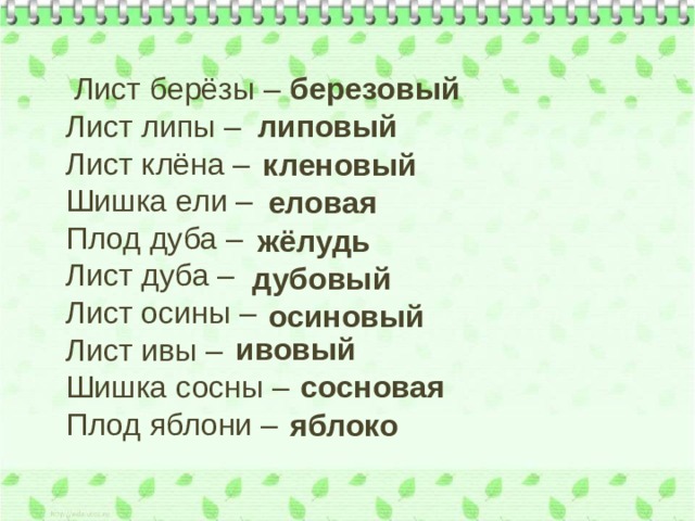 березовый  Лист берёзы –    Лист липы –  Лист клёна –  Шишка ели –  Плод дуба –  Лист дуба –  Лист осины –  Лист ивы –  Шишка сосны –  Плод яблони – липовый кленовый еловая жёлудь дубовый осиновый ивовый сосновая яблоко 