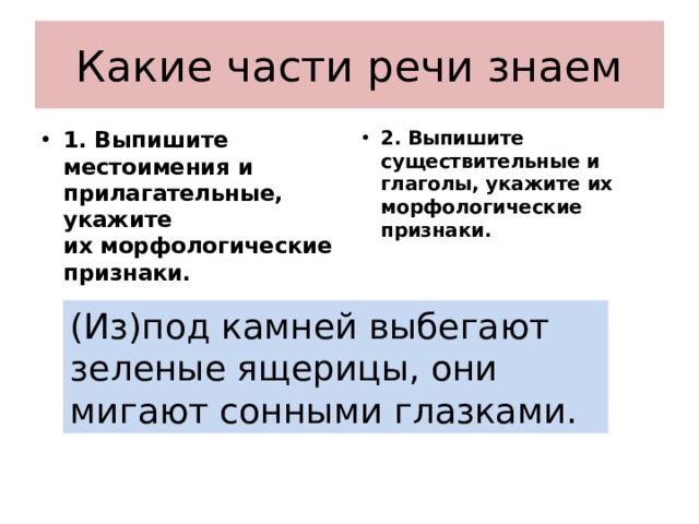 Какие части речи знаем 1. Выпишите местоимения и прилагательные, укажите  их морфологические признаки.   2. Выпишите существительные и глаголы, укажите их морфологические признаки.   (Из)под камней выбегают зеленые ящерицы, они мигают сонными глазками. 