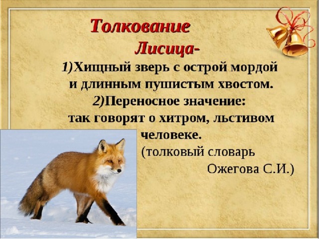 Описание лисы на английском с переводом. Описание лисы. Предложение со словом лисица. Лиса текст. Предложения о лисе.