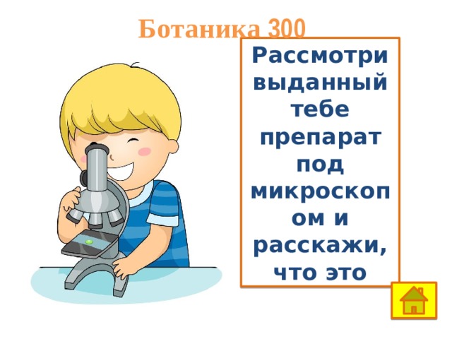 Ботаника 300 Рассмотри выданный тебе препарат под микроскопом и расскажи, что это 