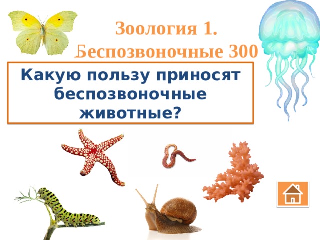Зоология 1. Беспозвоночные 300 Какую пользу приносят беспозвоночные животные? 