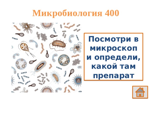 Микробиология 400 Посмотри в микроскоп и определи, какой там препарат 