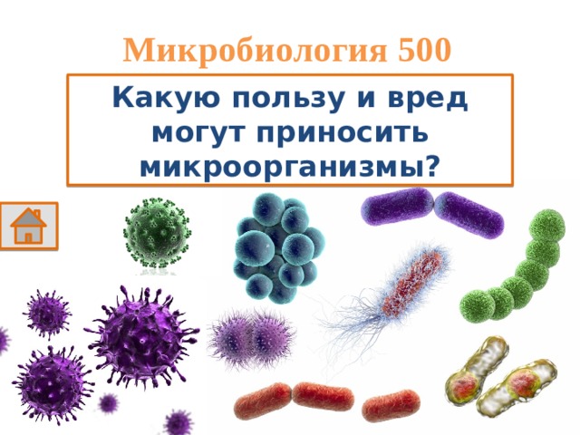 Микробиология 500 Какую пользу и вред могут приносить микроорганизмы? 