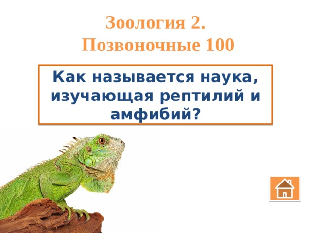 Зоология 2.  Позвоночные 100 Как называется наука, изучающая рептилий и амфибий? 