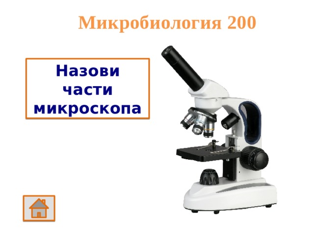 Микробиология 200 Назови части микроскопа 