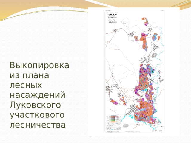 Выкопировка из плана лесных насаждений Луковского участкового лесничества 