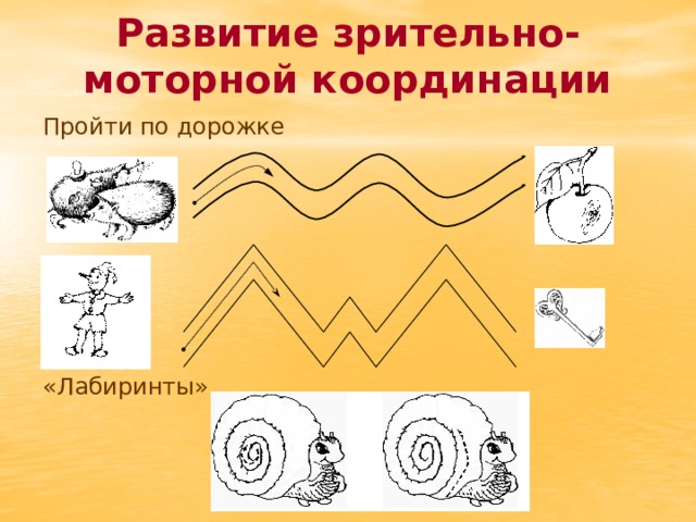 Зрительно моторная координация картинки