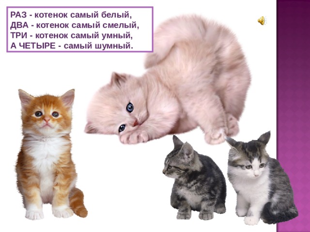 РАЗ - котенок самый белый,  ДВА - котенок самый смелый,  ТРИ - котенок самый умный,  А ЧЕТЫРЕ - самый шумный. 