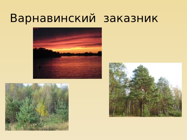 Варнавинский заказник 