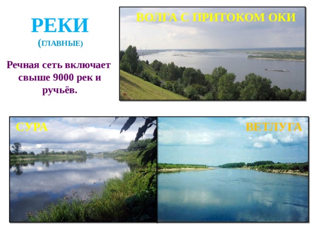 ВОЛГА С ПРИТОКОМ ОКИ РЕКИ ( ГЛАВНЫЕ) Речная сеть включает свыше 9000 рек и ручьёв. СУРА ВЕТЛУГА 