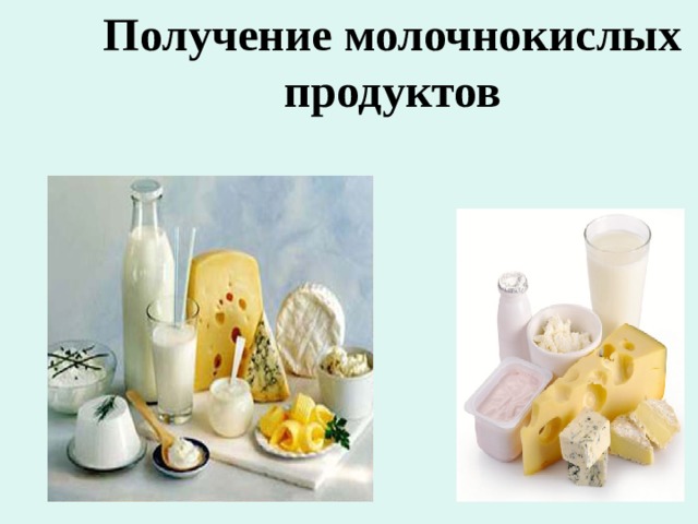Получение молочнокислых продуктов 