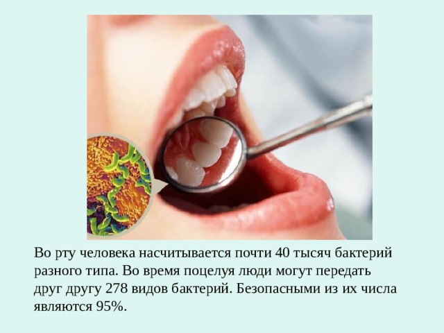 Во рту человека насчитывается почти 40 тысяч бактерий разного типа. Во время поцелуя люди могут передать друг другу 278 видов бактерий. Безопасными из их числа являются 95%. 