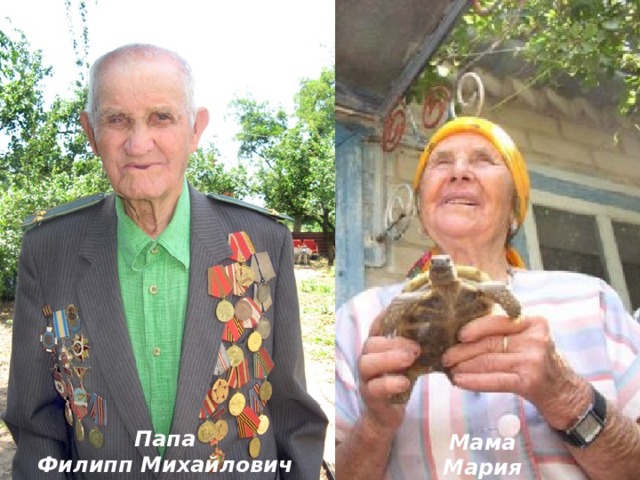 Папа лида