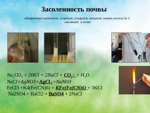 Засоленность почвы обнаружение карбонатов, хлоридов, сульфатов, нитратов, натрия, железа 2и 3 алюминия в почве Na 2 CO 3 + 2HCl = 2NaCl + CO 2 ↑ + H 2 O NaCl+AgNO3= AgCl↓ +NaNO3 FeCl3 +K4(Fe(CN)6) = KFe(Fe(CN)6) + 3KCI  Na2SO4 + BaCl2 = BaSO4 + 2NaCl 