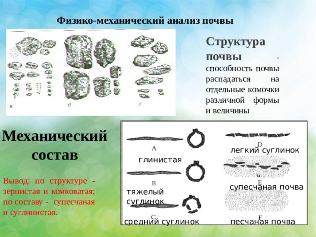 Механический и химический состав почв. Механический анализ почвы. Почвы по механическому составу и структуре. Определение механического состава почвы.