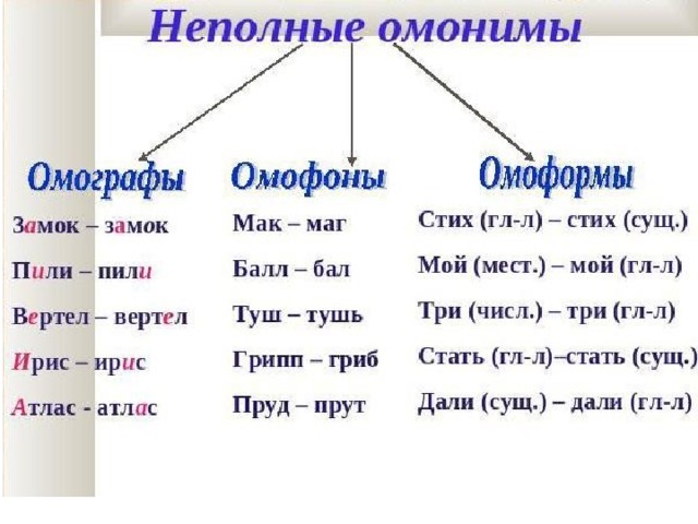 Омофоны омографы