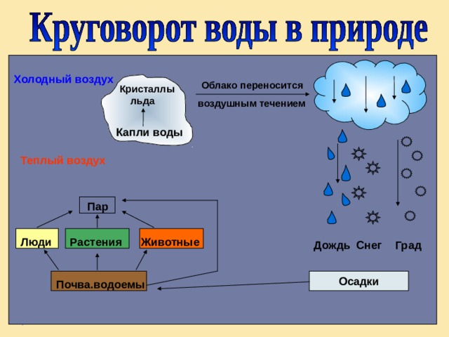 Холодный воздух Облако переносится Кристаллы  льда воздушным течением Капли воды Теплый воздух  Пар Животные Растения Люди Град Дождь Снег Осадки Почва.водоемы 